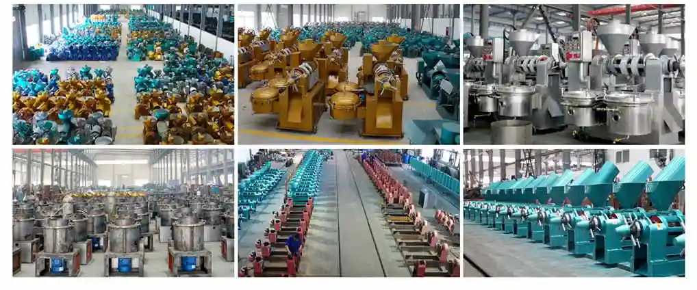 18.5kw 8tons a Day Hot Selling Guangxin Single Sunflower Groundnut Screw Oil Presses Africa Project